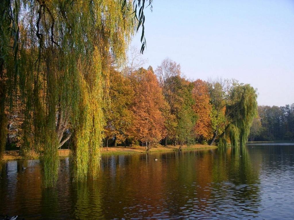 Comfortbiznes Pruszków Extérieur photo