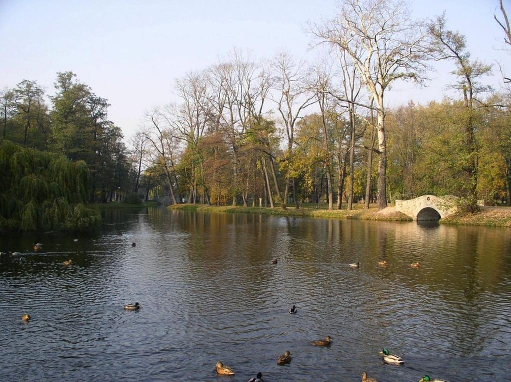 Comfortbiznes Pruszków Extérieur photo